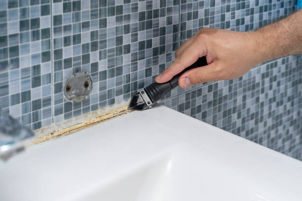 Kingsport, TN Mold Remediation Company